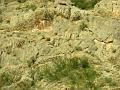 14-Valley of Fire 0011